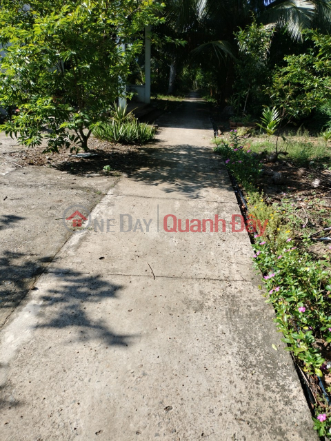 FOR QUICK SELL Land Lot And Front House Prime Location In Binh Thanh, Giong Trom, Ben Tre _0