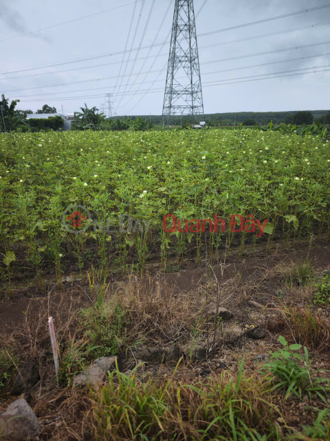 PRIME LAND – GOOD PRICE – OWNER SELLING AT Parallel Road to National Highway 20, Gia Tan 2 Commune, Thong Nhat District, Dong Nai Province _0