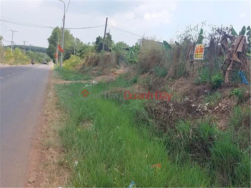 Property Search Vietnam | OneDay | Residential, Sales Listings | PRIME LAND – GOOD PRICE – OWNER SELLING LAND in Tuc Trung Commune, Dinh Quan District, Dong Nai Province