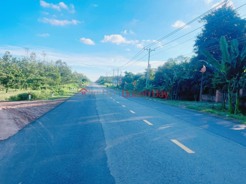 ₫ 2.95 Billion, BEAUTIFUL LAND - LOW PRICE - For Quick Sale Land Lot Prime Location In Dau Tieng District, Binh Duong Province