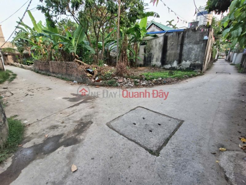 SELLING 108M2 CORNER LOT WITH 2 FRONTAGES. ROAD FOR 2.5 TON CARS CAN PARKING AT THE DOOR. - Area: 108m2. Frontage=Mh=7.6 - Address: Lam Dien Commune -, Vietnam Sales, đ 2.7 Billion
