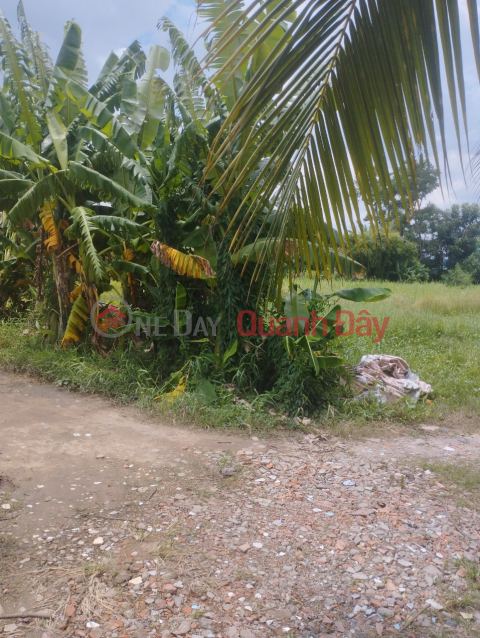 Owner Sells Land Lot, Nice Location At Box 6, Thanh Binh B Quarter, Go Dau Town, Go Dau District, Tay Ninh _0