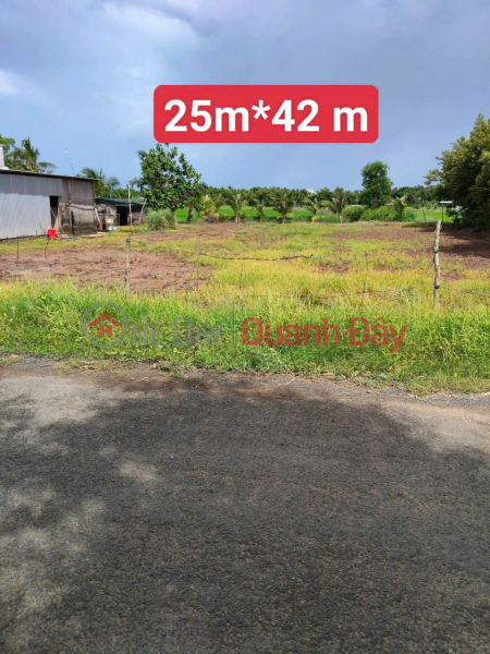 Property Search Vietnam | OneDay | Residential | Sales Listings PROFITABLE INVESTMENT – OWNER NEEDS TO SELL LAND IN LONG HUU COMMUNE, DUYEN HAI TOWN, TRA VINH PROVINCE