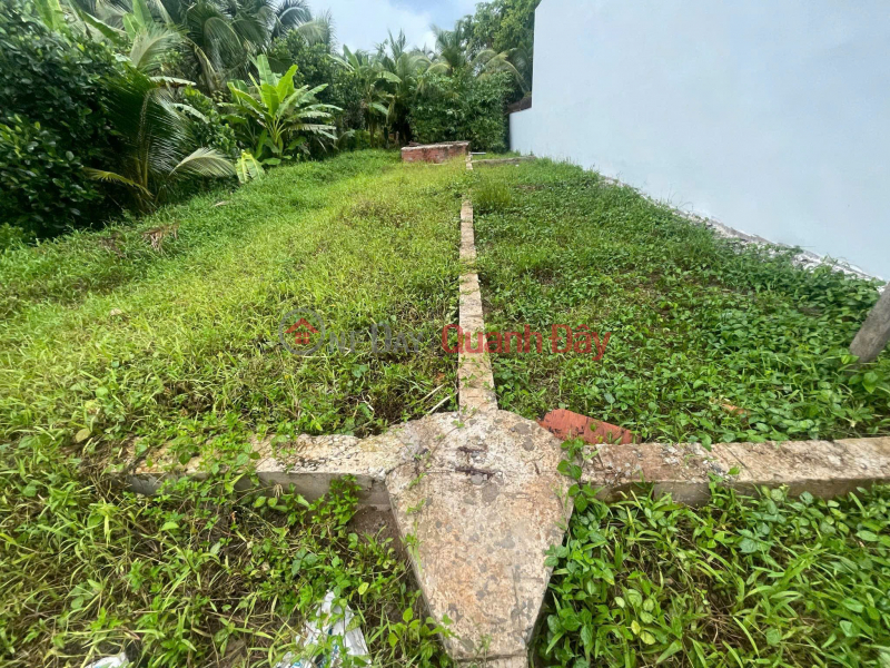 đ 790 Million, BEAUTIFUL LAND - GOOD PRICE - OWNER FOR SALE At Long Hung, Chau Thanh, Tien Giang