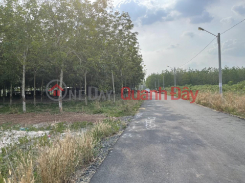 BEAUTIFUL LAND - GOOD PRICE - For Quick Sale 2 Land Lots In Minh Thanh Ward, Chon Thanh Town, Binh Phuoc _0