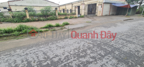 Selling 3150m2 of Land 47m Vu Chinh Commune, Thai Binh City _0