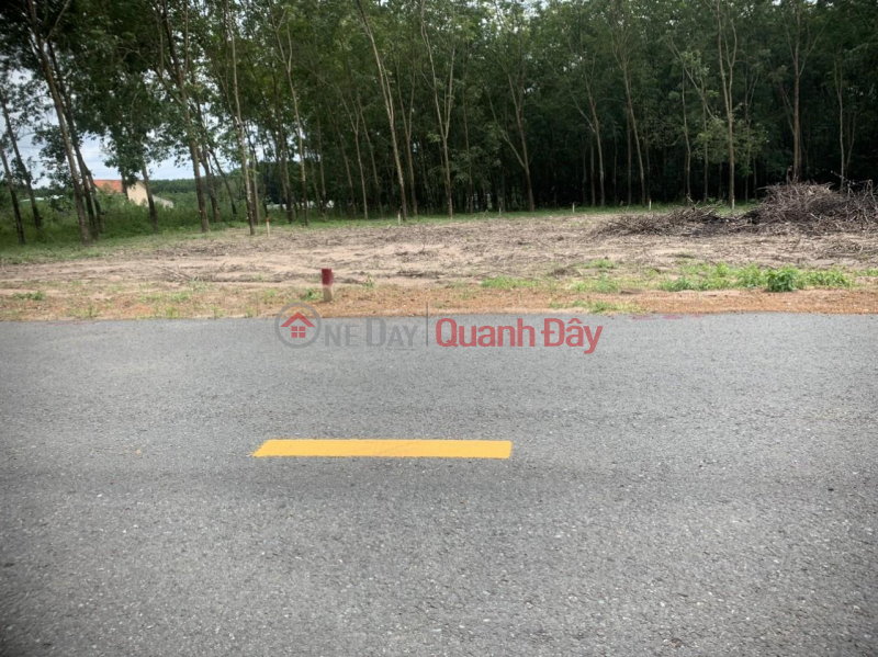 BEAUTIFUL LAND - GOOD PRICE - Owner Needs to Sell Beautiful Land Lot Quickly in Chon Thanh Town - Binh Phuoc Sales Listings