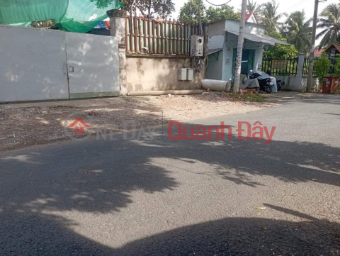 BEAUTIFUL LAND - GOOD PRICE - Land Lot For Sale Prime Location In Binh Chanh District - HCM _0