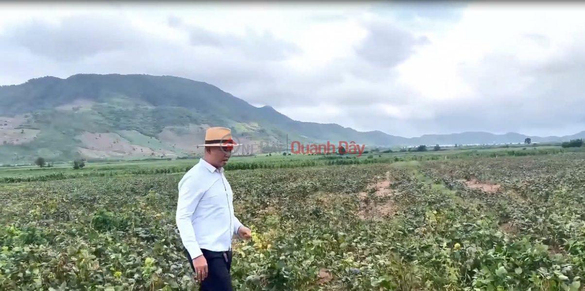 đ 550 Million, Agricultural Real Estate - Real Estate Generates Cash Flow On Land