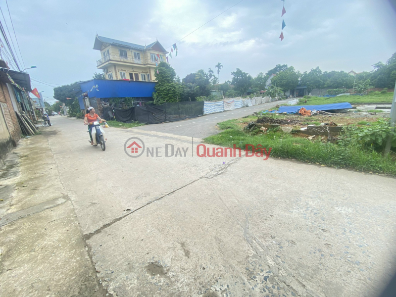 Property Search Vietnam | OneDay | Residential, Sales Listings 74.9m garden area - Dong Son - best location in the area - corner lot with 2 car frontages avoiding traffic on all sides, price only 1.x billion