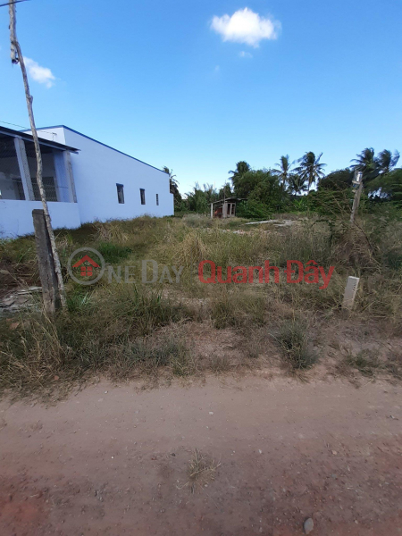 HOT HOT TO OWN A BEAUTIFUL LOT OF LAND - GOOD PRICE In Chau Thanh district, Long An Sales Listings