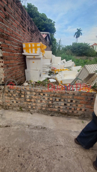 Cực hiếm 60m đất Tráng Việt, Mê Linh. Lô góc, 2 mặt tiền. Gần ngay chân cầu Thượng Cát Niêm yết bán