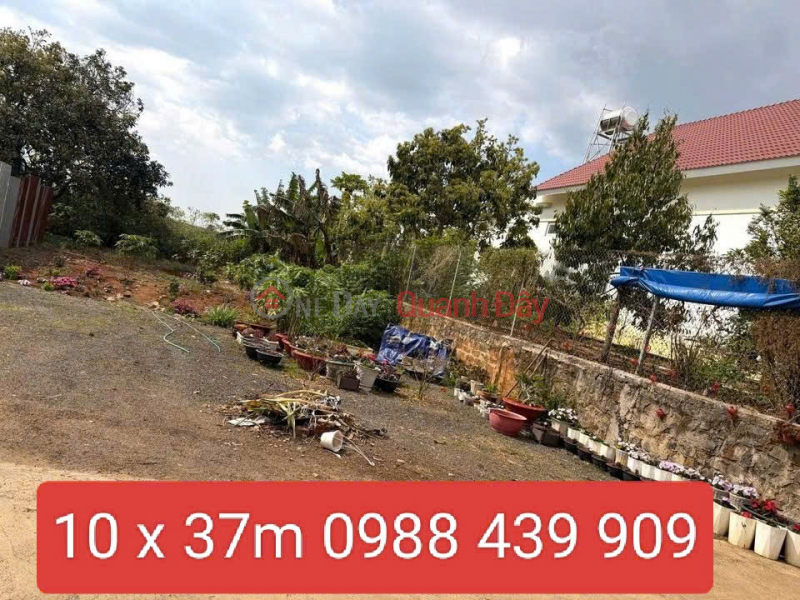 Property Search Vietnam | OneDay | Residential Sales Listings | 369m2 land for sale in Tran Phu, Lien Nghia, Duc Trong, Lam Dong - price 4.3 billion VND.