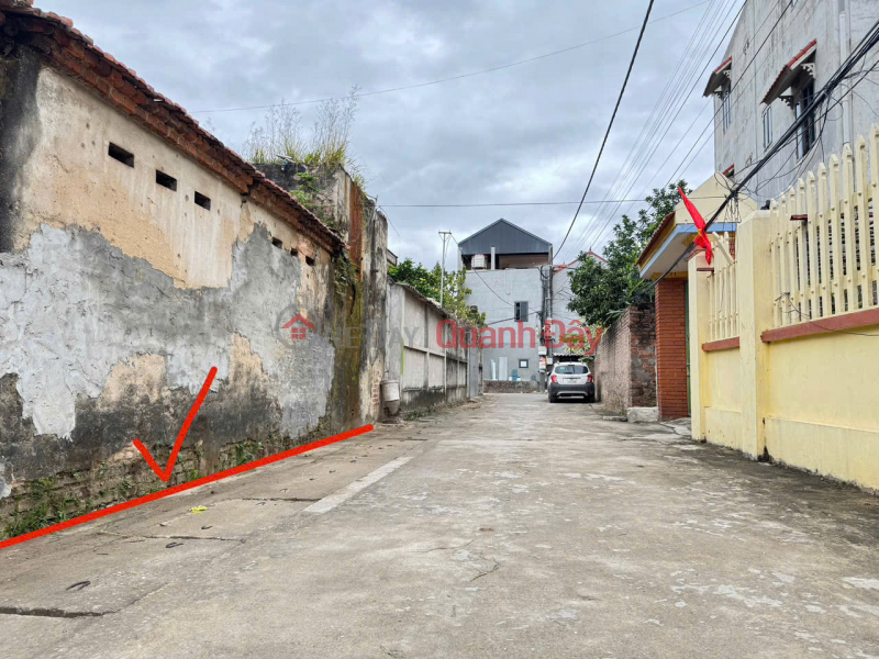 Property Search Vietnam | OneDay | Nhà ở Niêm yết bán Bán đất thôn Bạch Đa, Kim Hoa, Mê Linh. Đường thông, ô tô vào đất. Gần KDT Kim Hoa