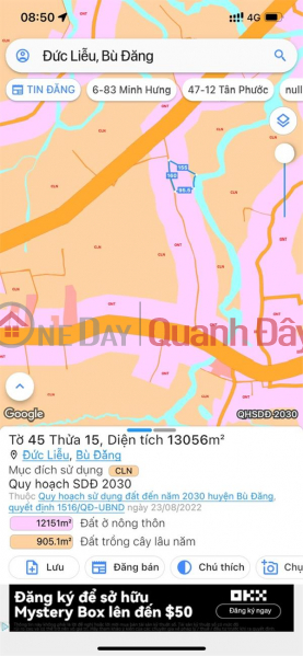 Owner quickly sells durian garden Bu Dang Binh Phuoc 6800m2 1.9 billion Sales Listings