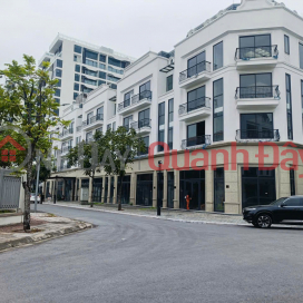 SUPERIOR CLASS OF THE UPPER CLASS - ADJACENT TO DIAMOND POINT - C14 PHUC DONG - LONG BIEN _0