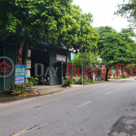 Nearly a hundred meters from Phu Lien, Bac Hong, beautiful lot, cars parked at the door _0