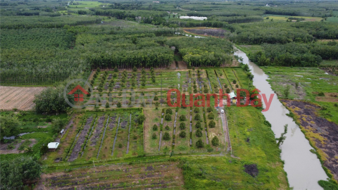 Durian Garden Near Thanh Duc Industrial Park - Potential Land! _0
