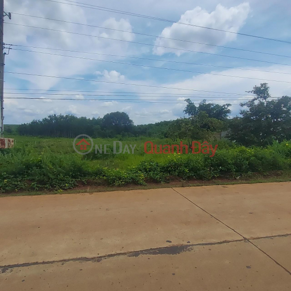 FOR QUICK SELLING BY OWNER Beautiful Lot On Main Road DT 757, Hon Quan Sales Listings