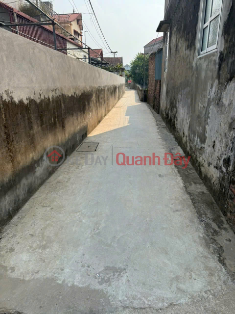 My family has 2 small plots of land - Investment price - Urgent sale - Thuong Tin - Hanoi _0