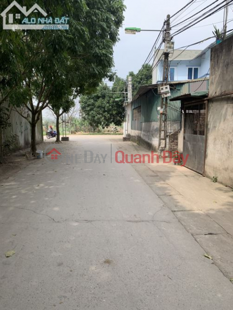 Selling agricultural land in Dai Lan, Duyen Ha, Thanh Tri with an area of 700m2 for only a few million. _0