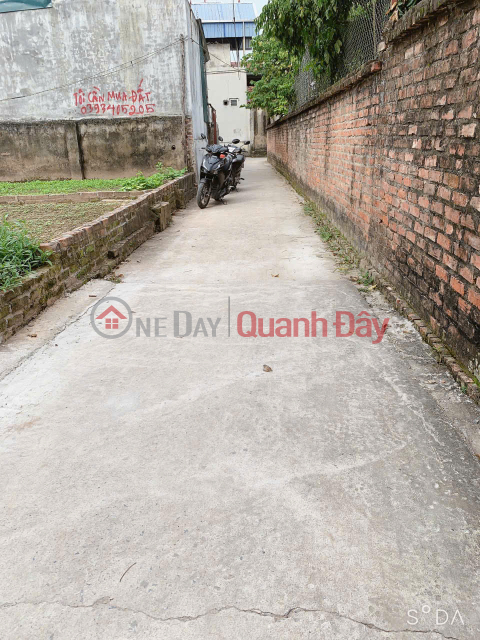 Area 48m2 full residential land address: Phu Ben village - Thuy Huong - Chuong My - Hanoi. - Frontage _0