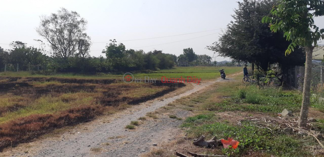 OWNER NEED TO SELL QUICKLY Plot of Land with 2 Fronts in Cu Chi - Ho Chi Minh | Vietnam, Sales | đ 3.5 Billion