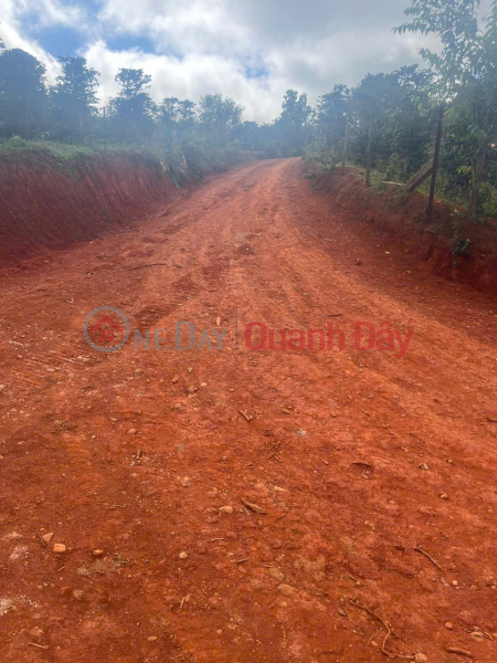 BEAUTIFUL LAND - GOOD PRICE - QUICK SALE OF LAND IN Lake Area No. 7, Lang Biang Ward - Da Lat - LAM DONG | Vietnam, Sales đ 6.75 Billion