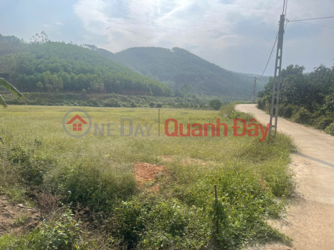 HIGH PROFITABLE INVESTMENT OPPORTUNITY LAND IN CHU TOWN - BAC GIANG - OWN A FARM WITH STABLE CASH FLOW _0