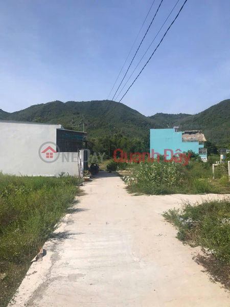 Owner Needs Money to Urgently Sell 2-Front Land Lot in Phuoc Dong Commune, Nha Trang - Selling Price at a Loss of 450 Million! Sales Listings