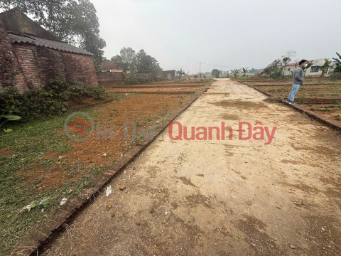 PRICE ONLY 7.2 MILLION VND PER SQUARE METER -- AREA 105 SQM, FULLY RESIDENTIAL LAND - INVESTORS CAN OWN THIS PLOT OF LAND NOW! _0