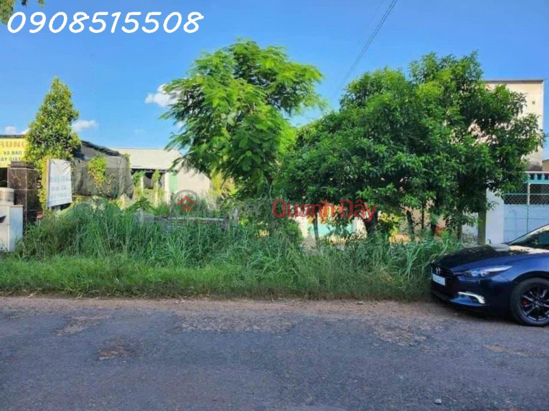 Property Search Vietnam | OneDay | Nhà ở Niêm yết bán | Em còn căn nhà vườn bưởi rộng gần 4000m2 trên Dầu Tiếng nhờ ae chạy ra phụ nhé.