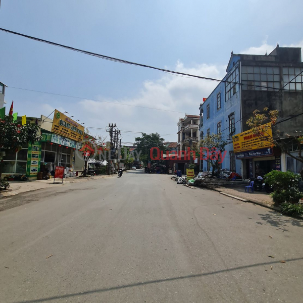 Property Search Vietnam | OneDay | Residential | Sales Listings, Land for sale in Gia Lam commune, Hanoi, near Vincom, car road. 202m2, 8m square frontage. Investment price. Contact 0989894845