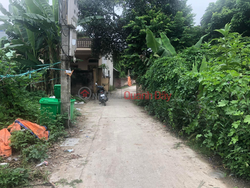 Phuong Dong Phu Chau appeared on a plot of 48m with a comfortable motorable road near the sports center, away from the main axis. | Vietnam, Sales đ 2.1 Billion