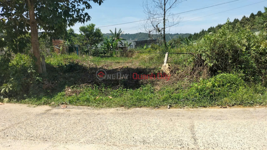 ĐẤT THỔ CƯ GIÁ ĐẦU TƯ – GẦN HỒ MADAGUI – CHÍNH CHỦ CẦN BÁN LÔ ĐẤT Tại Đạ Huoai, Lâm Đồng Niêm yết bán
