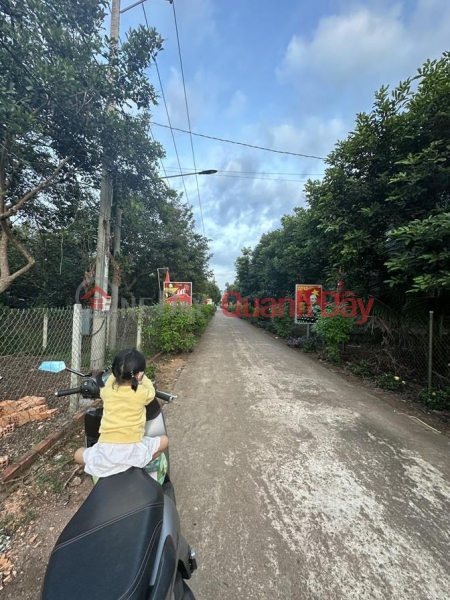 OWNER - QUICK SELL LAND LOT BEAUTIFUL LOCATION In the East area of Bao Hoa commune, Xuan Loc District, Dong Nai province Sales Listings