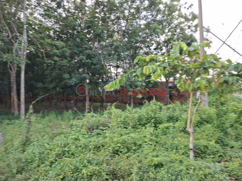 Sang nhượng đất mặt tiền đường Phạm Thị Quới, Xã Phú Mỹ Hưng, Huyện Củ Chi, TP.HCM, Việt Nam | Bán, đ 80 tỷ