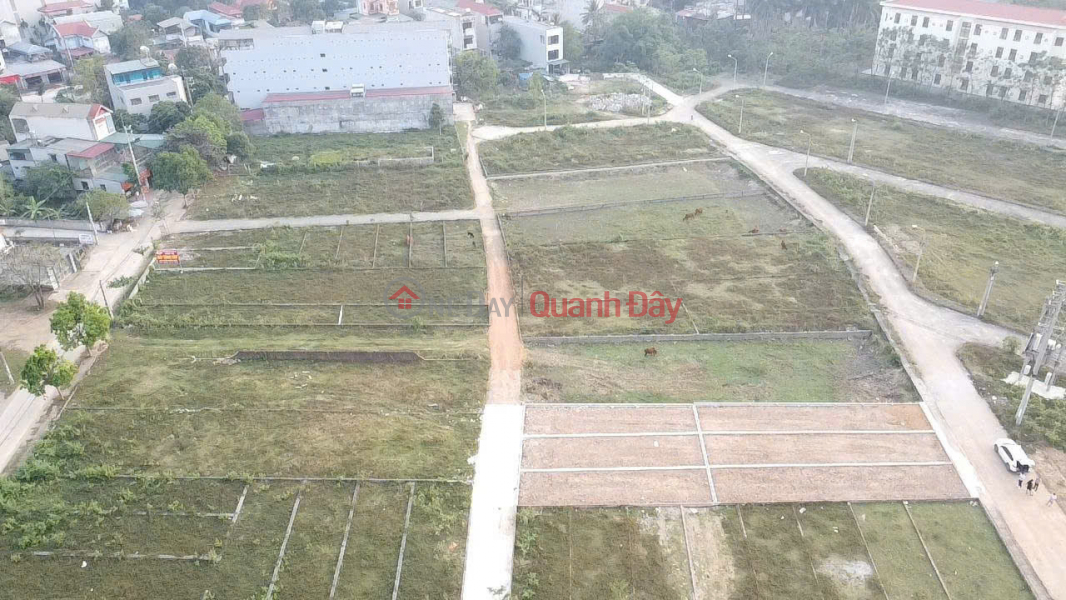 Urgent sale of 113.3m2 land plot, 200m from Hoa Lac Thach That market Sales Listings