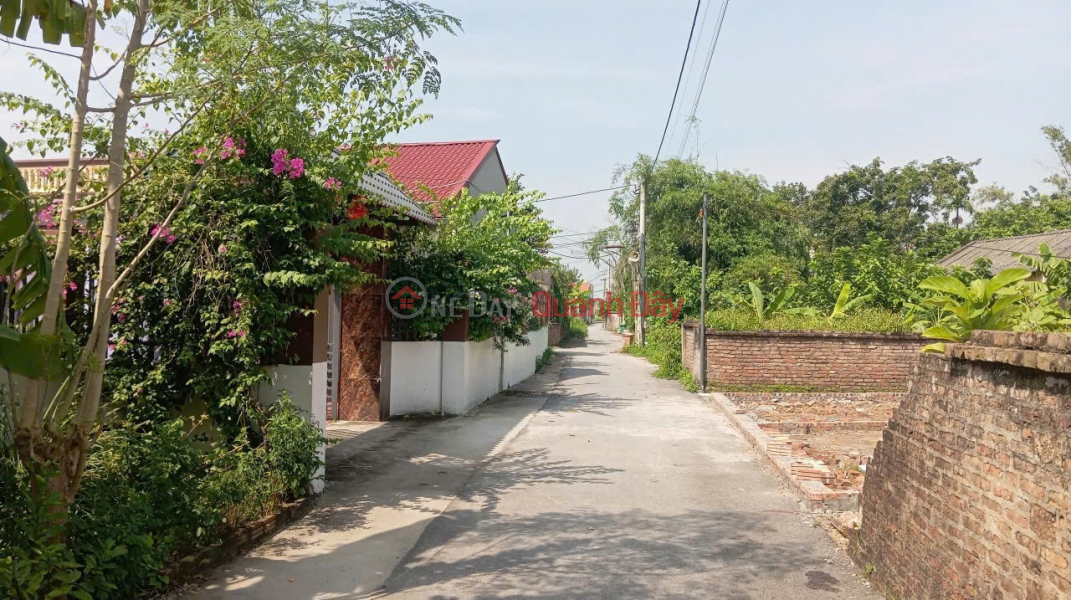 Land for sale in Thuan Thanh, Bac Ninh. 85m2 * frontage 4.5m * 2.4 billion. Car road to land. | Vietnam, Sales | đ 2.4 Billion