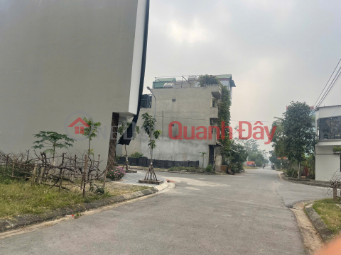 OWNER SELLS SERVICE LAND IN DONG MAI - BEAUTIFUL LOCATION, HIGH PROFITABLE INVESTMENT _0