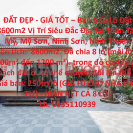 BEAUTIFUL LAND - GOOD PRICE - Urgent Sale Land Lot 8600m2 Super Prime Location In My Son, Ninh Son District _0