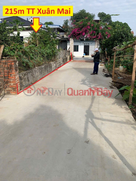HÀNG FO CHÍNH CHỦ 295M TẠI TT XUÂN MAI-CHƯƠNG MỸ-HÀ NỘI Niêm yết bán