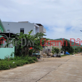 OWNER NEEDS TO SELL Land in Team 4 Urban Area, Bang Chau Area, Dap Da Ward, An Nhon, Binh Dinh (old) _0