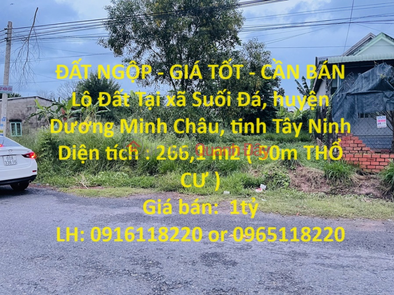 GROUNDED LAND - GOOD PRICE - FOR SALE Land Plot In Duong Minh Chau - Tay Ninh Sales Listings