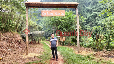 The owner needs to sell quickly the land plot Thac Lua Hoa - Phu Chiem - Tuyen Quang _0