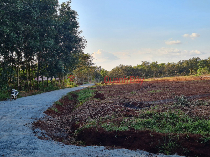 Property Search Vietnam | OneDay | | Niêm yết bán, Đất đầu tư nông nghiệp Long Bình,1000m2,sẵn sổ hồng