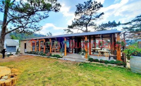 Cho thuê khu nghỉ dưỡng 5ha gồm 5 biệt thự 8 bungalow giá 400 triệu Đà Lạt Lâm Đồng _0