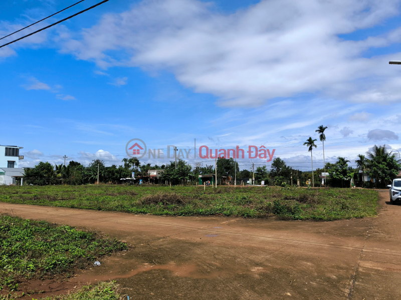 Property Search Vietnam | OneDay | Niêm yết bán | Bán gấp lô đất nền tại khu Phú Lộc , Krông Năng