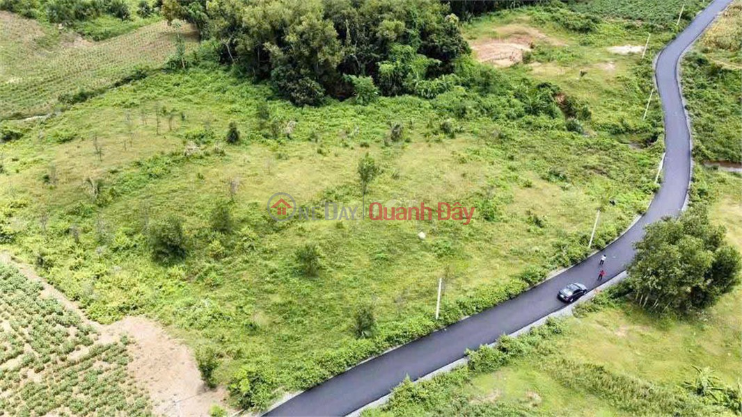 đ 1.65 Billion I am the owner and I need to sell a plot of land (sào) with frontage on a paved road in Binh Trung commune, Chau Duc district, Vung Tau.