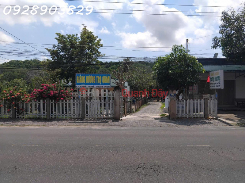 Urgent sale of 1067m2 land in Lac Long Quan, Tien Thanh Ward, Phan Thiet City, price 16 billion VND, commission 2%. Sales Listings